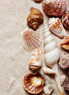 Plaj duvar kağıtları. Deniz üstünde kum beach.copy yer. Yaz kavramı