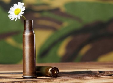 Papatya kurşun durumda. Askeri arka plan üzerinde ahşap masanın üstünde. Konsept fotoğraf savaş yok. Savaş yok aşk yapmak. Kopya alanı