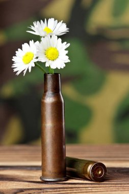 Papatya kurşun durumda. Askeri arka plan üzerinde ahşap masanın üstünde. Konsept fotoğraf savaş yok. Savaş yok aşk yapmak.