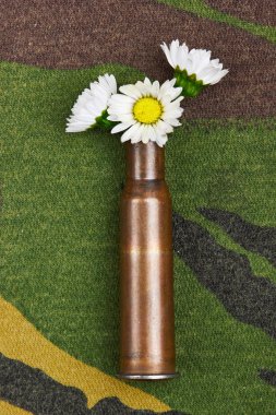 Papatya kurşun durumda. Askeri arka plan üzerinde. Konsept fotoğraf savaş yok. Savaş yok aşk yapmak. Üstten Görünüm