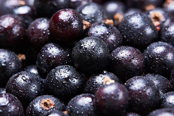 Siyah frenk üzümü suyu drops.top manzaralı. Taze çilek. Çilek hasat. Texture.Closeup