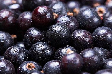 Siyah frenk üzümü suyu drops.top manzaralı. Taze çilek. Çilek hasat. Texture.Closeup