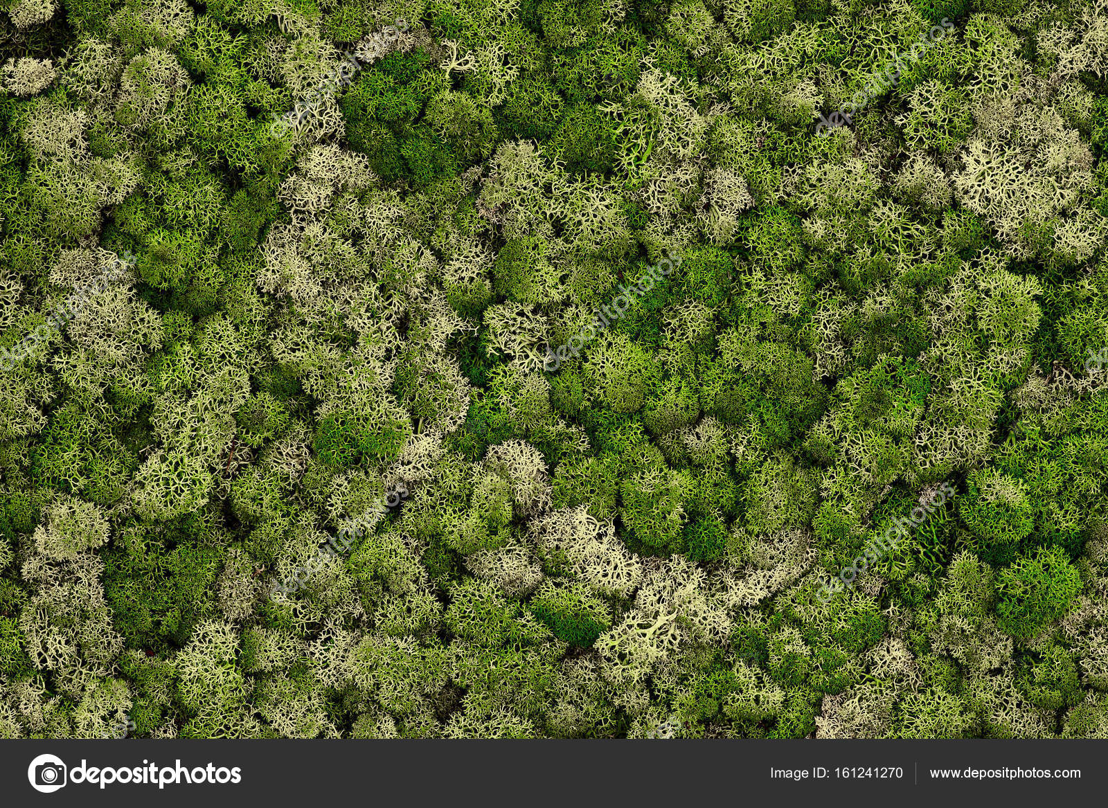 free download reindeer moss free download reindeer moss