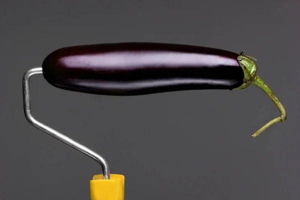 Peindre aubergine rouleau sur fond gris. Mode concept alimentaire.Publicité créative — Photo