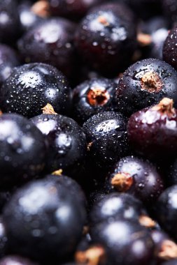 Siyah frenk üzümü suyu drops.top manzaralı. Taze çilek. Makro photographycloseup. Seçici odak