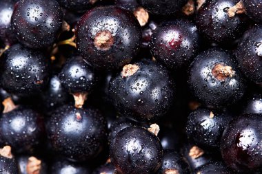 Siyah frenk üzümü suyu drops.top manzaralı. Taze çilek. Çilek hasat. Texture.Closeup