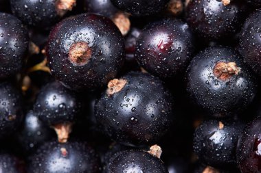 Siyah frenk üzümü suyu drops.top manzaralı. Taze çilek. Çilek hasat. Texture.Closeup