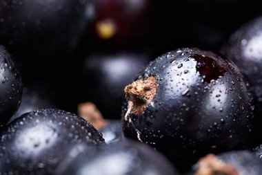 Siyah frenk üzümü suyu drops.top manzaralı. Taze çilek. Makro photographycloseup. Makro fotoğrafçılık. Seçici odak
