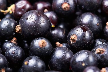 Siyah frenk üzümü suyu drops.top manzaralı. Taze çilek. Çilek hasat. Texture.Closeup