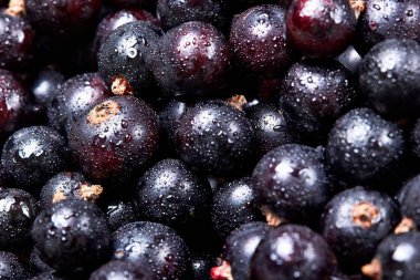 Siyah frenk üzümü suyu drops.top manzaralı. Taze çilek. Çilek hasat. Texture.Closeup
