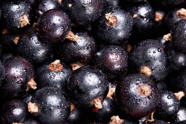 Siyah frenk üzümü suyu drops.top manzaralı. Taze çilek. Çilek hasat. Texture.Closeup