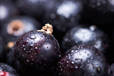 Siyah frenk üzümü suyu drops.top manzaralı. Taze çilek. Makro photographycloseup. Makro fotoğrafçılık. Seçici odak