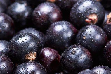 Siyah frenk üzümü suyu drops.top manzaralı. Taze çilek. Çilek hasat. Texture.Closeup
