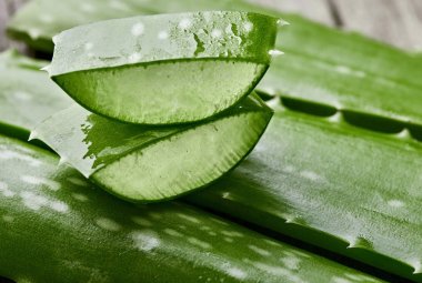 Aloe vera. Aloe kesme parçaları. Ahşap masa