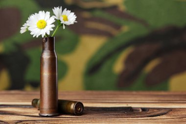 Papatya kurşun durumda. Askeri arka plan üzerinde ahşap masanın üstünde. Konsept fotoğraf savaş yok. Savaş yok aşk yapmak. Kopya alanı