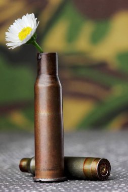 Papatya kurşun durumda. Askeri arka plan üzerinde. Konsept fotoğraf savaş yok. Savaş yok aşk yapmak.