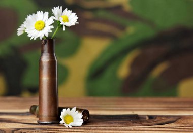 Papatya kurşun durumda. Askeri arka plan üzerinde ahşap masanın üstünde. Konsept fotoğraf savaş yok. Savaş yok aşk yapmak. Kopya alanı