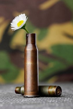 Papatya kurşun durumda. Askeri arka plan üzerinde. Konsept fotoğraf savaş yok. Savaş yok aşk yapmak.