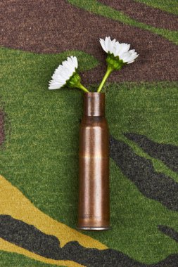 Papatya kurşun durumda. Askeri arka plan üzerinde. Konsept fotoğraf savaş yok. Savaş yok aşk yapmak. Üstten Görünüm