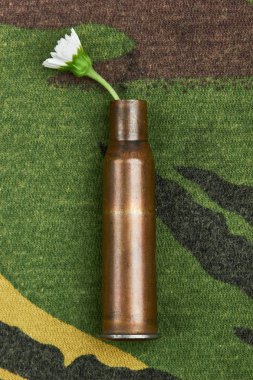 Papatya kurşun durumda. Askeri arka plan üzerinde. Konsept fotoğraf savaş yok. Savaş yok aşk yapmak. Üstten Görünüm