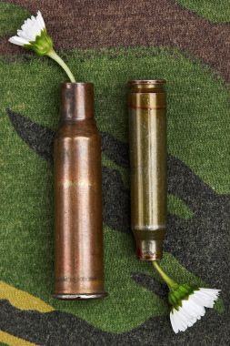 Papatya kurşun durumda. Askeri arka plan üzerinde. Konsept fotoğraf savaş yok. Savaş yok aşk yapmak. Üstten Görünüm