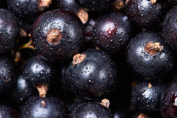 水 drops.top ビューと黒スグリ。新鮮な果実。果実の収穫。Texture.Closeup — ストック写真