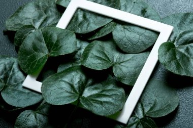 Islak yapılan yaratıcı arka plan beyaz çerçeve ile su damlaları bırakır. Düz yatıyordu. Doğa kavramı. Coltsfoot