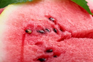 Nane yaprağı taze tatlı karpuz closeup Watermelon.Detailed. Büyük meyve. Olgun meyve