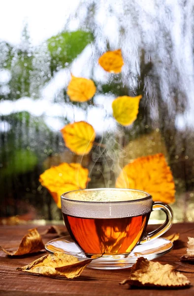 Ahşap pencere pervazına sarı atumn ile üzerinde çay yaprakları. Ufuk yağmurlu pencere ve srcond planı üzerinde sonbahar ağaçlar. Tea.Selective odak. Sonbahar kavramı. Sıcak içecekler