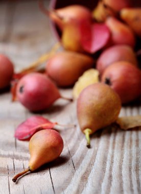 Armut. Armut hasat. Ahşap masa üzerinde taze organik armut. Armut sonbaharda hasat. Sonbahar doğa kavramı. Seçici odak