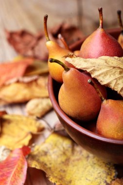 Armut. Armut hasat. Closeup.Fresh organik armut kil plaka ile sonbahar yaprakları üzerinde ahşap masa. Armut sonbaharda hasat. Sonbahar doğa kavramı. Seçici odak. Üstten Görünüm