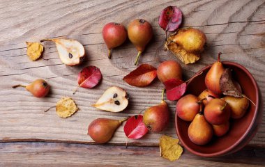 Armut. Armut hasat. Ahşap masa üzerinde taze organik armut. Armut sonbaharda hasat. Sonbahar doğa kavramı. Seçici odak
