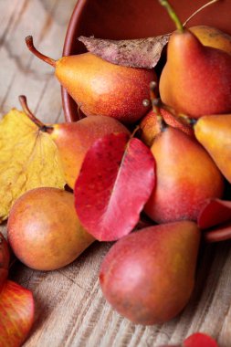 Armut. Armut hasat. Closeup.Fresh organik armut kil plaka ile sonbahar yaprakları üzerinde ahşap masa. Armut sonbaharda hasat. Sonbahar doğa kavramı. Seçici odak.