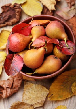 Armut. Armut hasat. Kil plaka ile sonbahar taze organik armut tahta masada bırakır. Armut sonbaharda hasat. Sonbahar doğa kavramı. Seçici odak. Üstten Görünüm