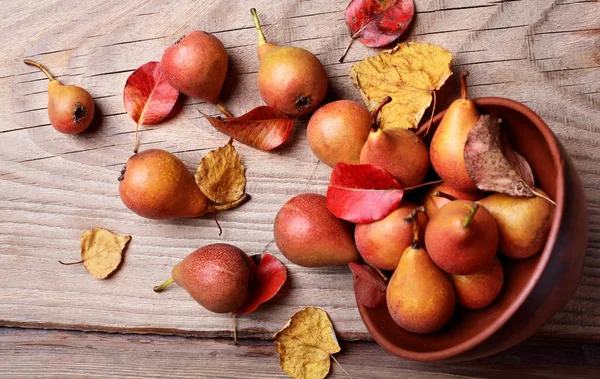 Armut. Armut hasat. Ahşap masa üzerinde taze organik armut. Armut sonbaharda hasat. Sonbahar doğa kavramı. Seçici odak