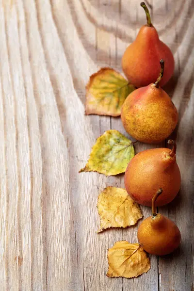 Armut. Armut hasat. Ahşap masa üzerinde taze organik armut. Armut sonbaharda hasat. Sonbahar doğa kavramı. Seçici odak. Üstten Görünüm. Kopya alanı