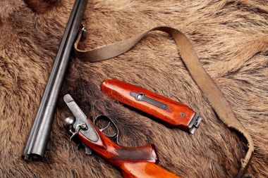 Demonte, eski double-barreled tüfek, silah üzerinde yaban domuzu kürk. Üstten Görünüm. Kopya alanı