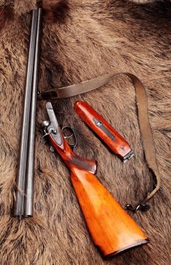 Demonte, eski double-barreled tüfek, silah üzerinde yaban domuzu kürk. Üstten Görünüm. Kopya alanı