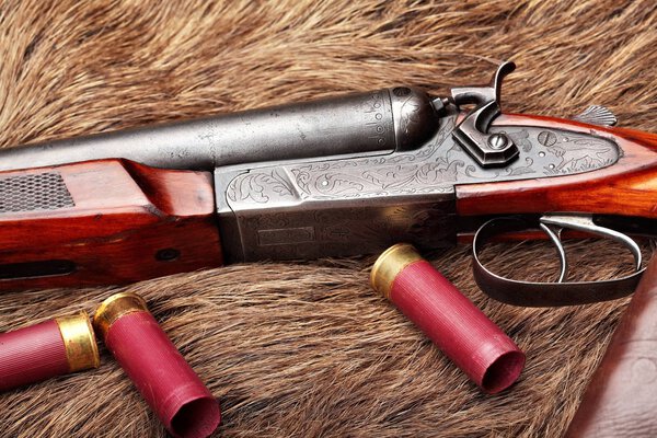 Hunting retro shotgun closeup with shotgun shells.Selective focus.Concept hunting