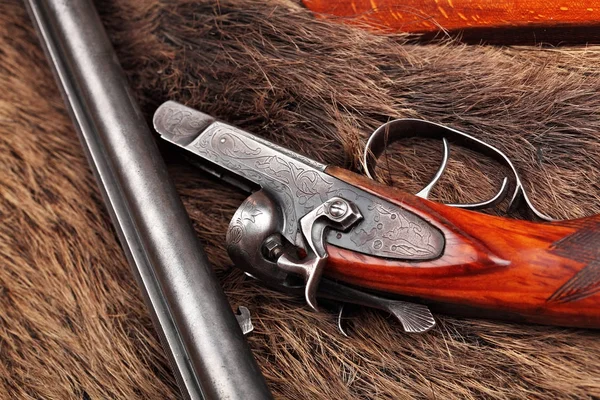 Demonte, eski double-barreled tüfek, silah üzerinde yaban domuzu kürk. Üstten Görünüm. Portre