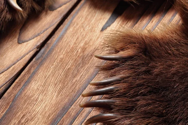 Garras de oso marrón, trofeo de caza, en el suelo de madera.Espacio de copia. Close up. Concepto cazadores trofeos — Foto de Stock