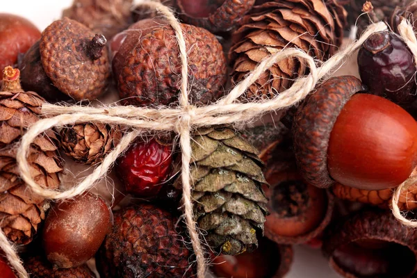 Closeup de grinalda de bolotas, paus e cones.Macro shot.Acorn, cone — Fotografia de Stock