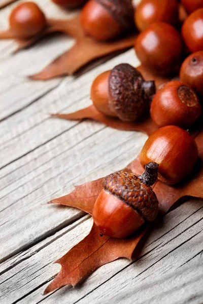 Gedroogd acorn op eiken blad op eiken blad. Houten achtergrond. Herfst achtergrond. Closeup.Copy ruimte — Stockfoto