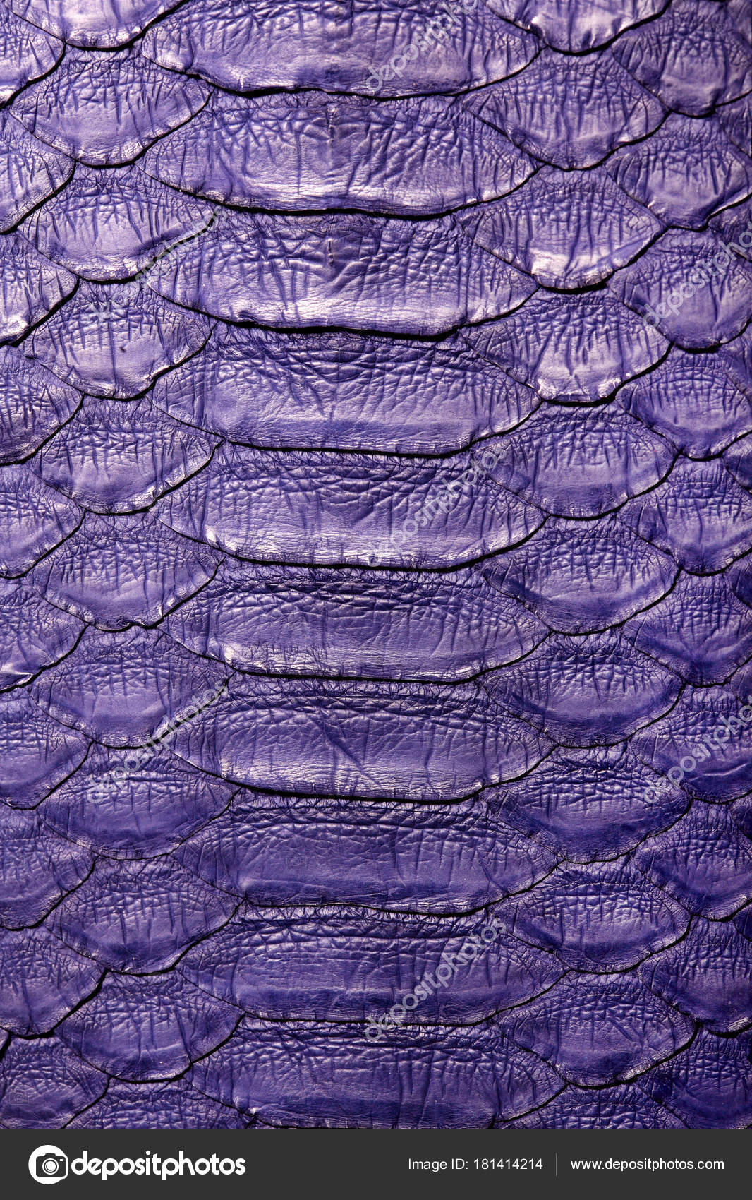 Snake Python Skin Violet Texture Close Up For Background And