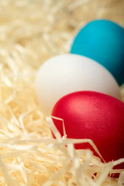 Easter egg red, gren.,cyan.Colored chicken egg .On hay background.Soft Easter background. Selective focus .Closeup
