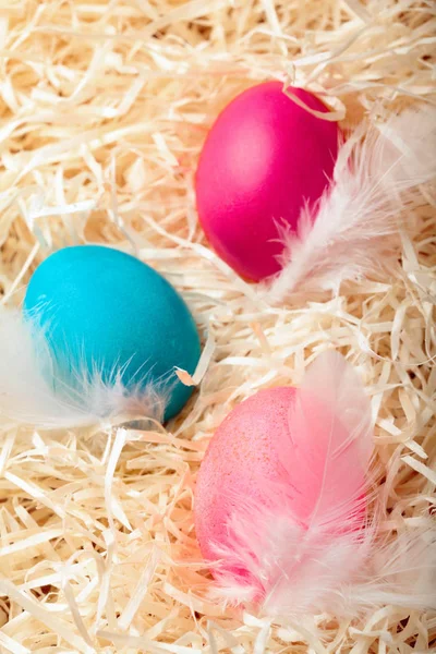 Soft pink , cyan easter egg with white featherColored chicken egg with white feather.On hay background.Soft Easter background. Selective focus .Closeup