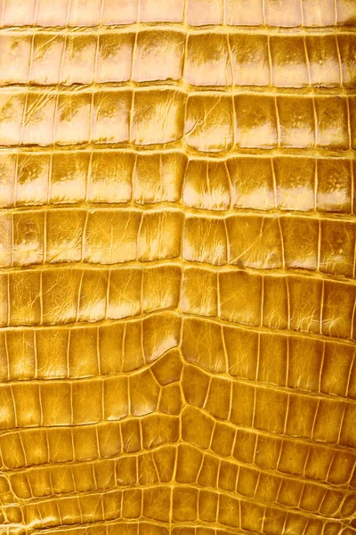 Gouden gele krokodil huid textuur en achtergrond. Alligator huid textuur. — Stockfoto