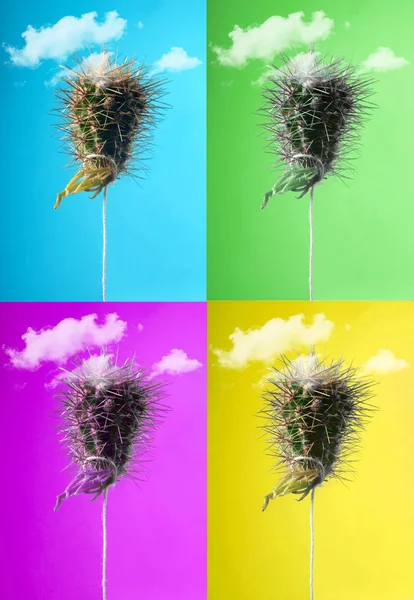 Cactus.Cactus ballon sur ciel bleu vif volant avec des nuages. Concept minimal créatif.Pop art.Collage — Photo