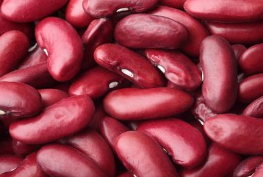 Kırmızı börülce doku. Arka plan kırmızı börülce. Baklagiller Cocnept dokular. Tam alan derinliği