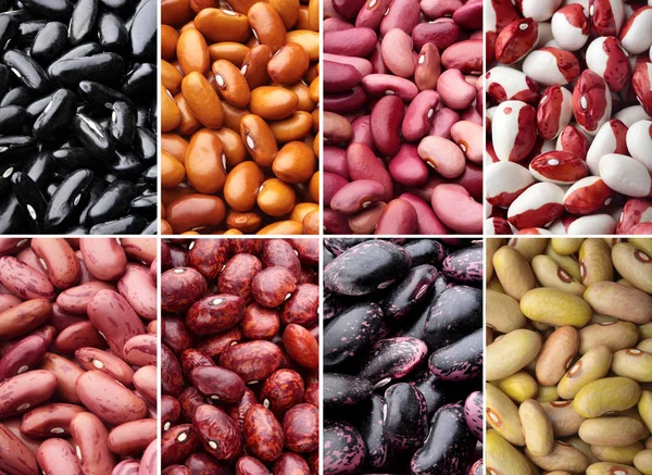 Collage of different types of beans.. Varieties of beans.Top view.Closeup.Texture — стоковое фото